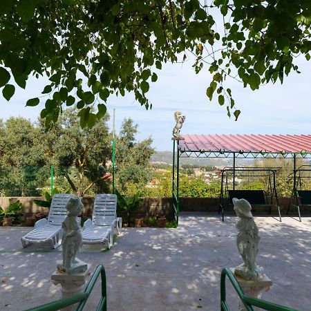 Live Finca El Gamonal Bajo Con Piscina Y Jardin En La Naturaleza Santa Brígida Εξωτερικό φωτογραφία