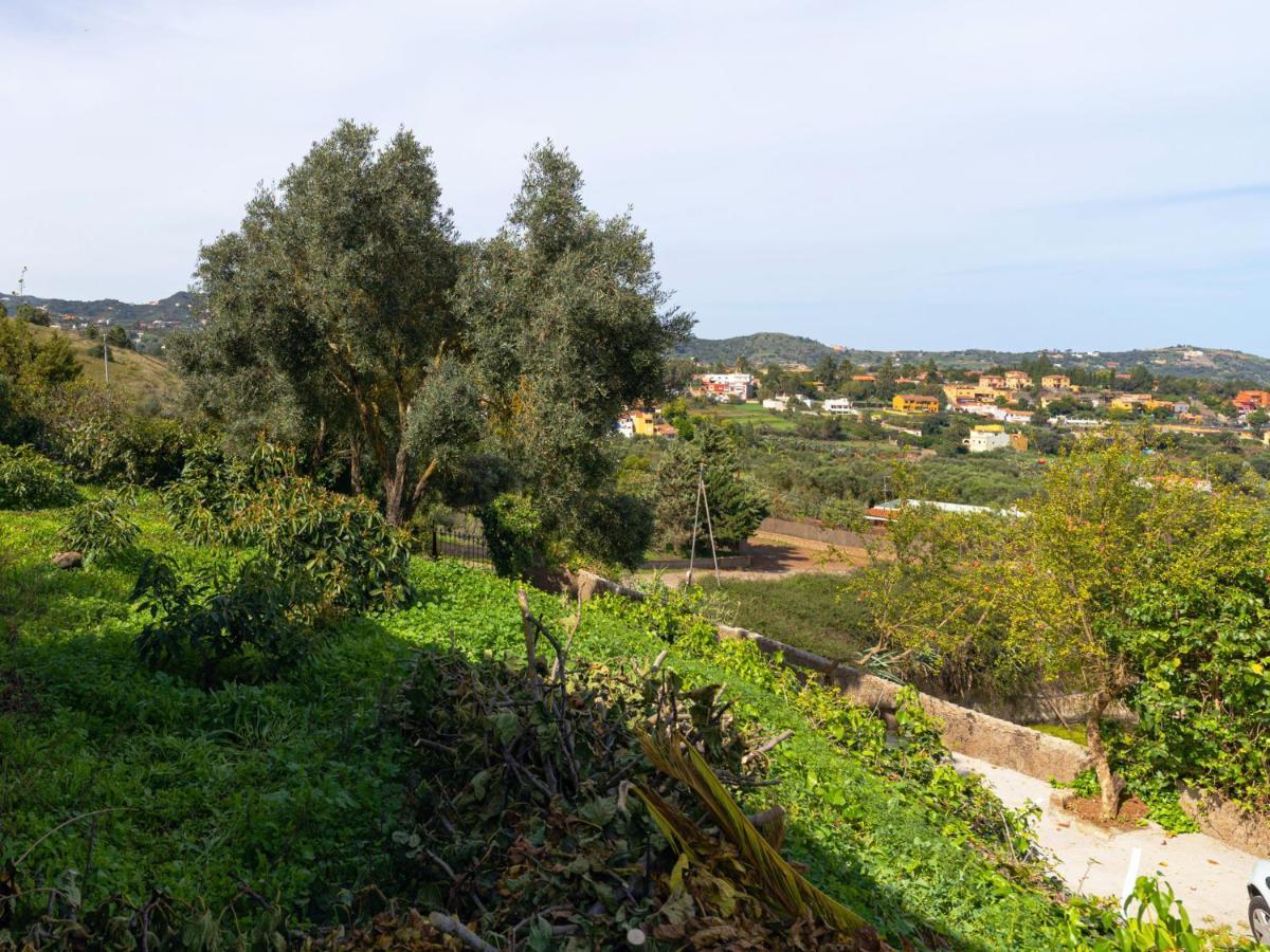 Live Finca El Gamonal Bajo Con Piscina Y Jardin En La Naturaleza Santa Brígida Εξωτερικό φωτογραφία