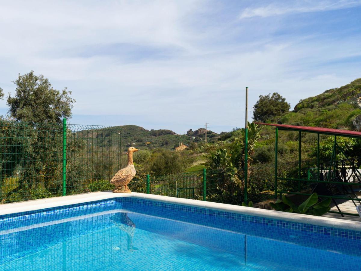 Live Finca El Gamonal Bajo Con Piscina Y Jardin En La Naturaleza Santa Brígida Εξωτερικό φωτογραφία