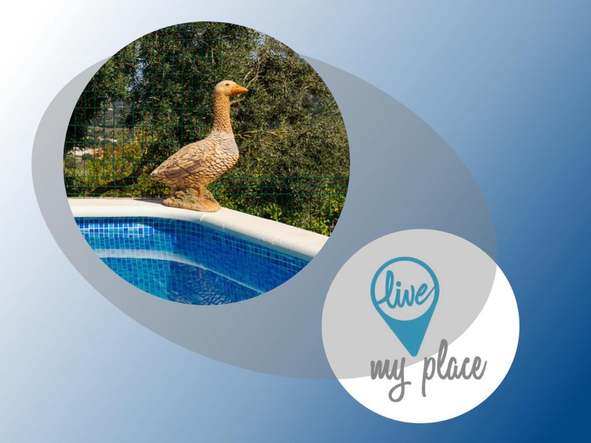 Live Finca El Gamonal Bajo Con Piscina Y Jardin En La Naturaleza Santa Brígida Εξωτερικό φωτογραφία